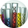 Plant extracts